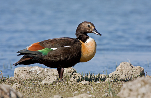 Free HTML5 template by FREEHTML5.co