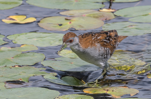 Free HTML5 template by FREEHTML5.co