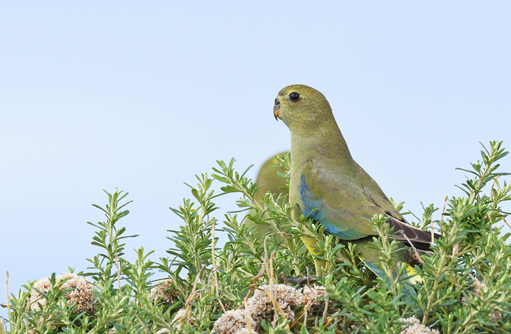 Free HTML5 template by FREEHTML5.co