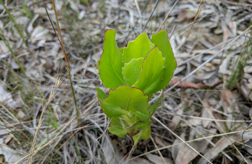 Free HTML5 template by FREEHTML5.co