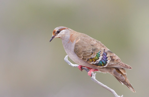 Free HTML5 template by FREEHTML5.co