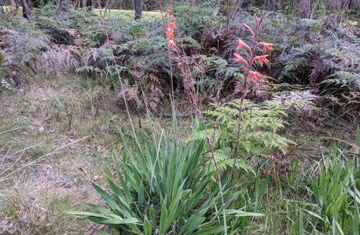 Free HTML5 template by FREEHTML5.co