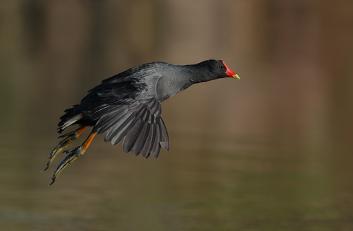 Free HTML5 template by FREEHTML5.co