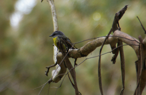 Free HTML5 template by FREEHTML5.co