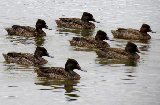 Free HTML5 template by FREEHTML5.co