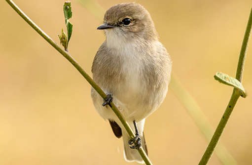 Free HTML5 template by FREEHTML5.co