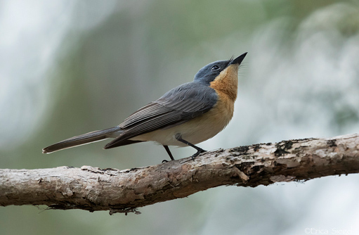 Free HTML5 template by FREEHTML5.co