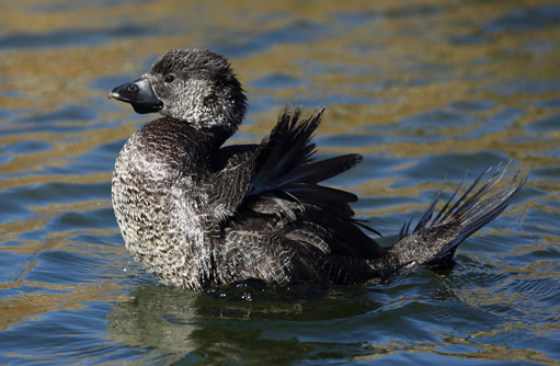 Free HTML5 template by FREEHTML5.co