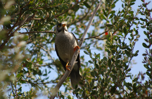 Free HTML5 template by FREEHTML5.co