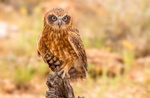 Free HTML5 template by FREEHTML5.co