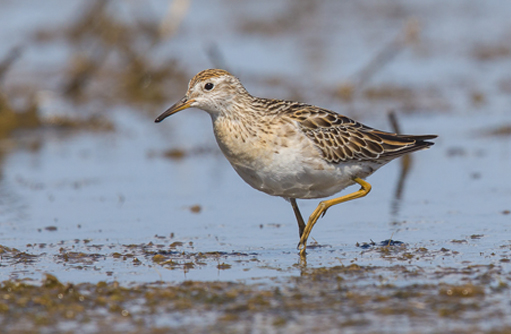 Free HTML5 template by FREEHTML5.co