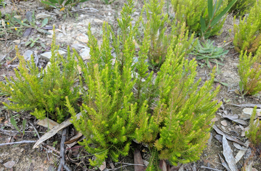 Free HTML5 template by FREEHTML5.co