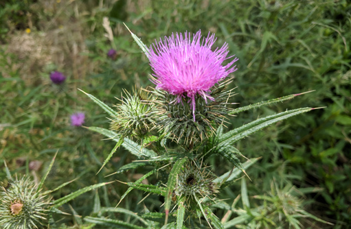 Free HTML5 template by FREEHTML5.co