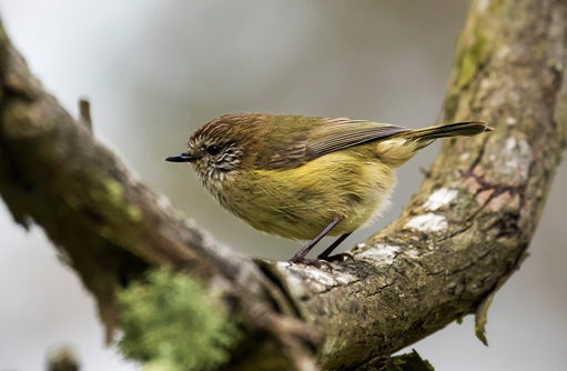 Free HTML5 template by FREEHTML5.co