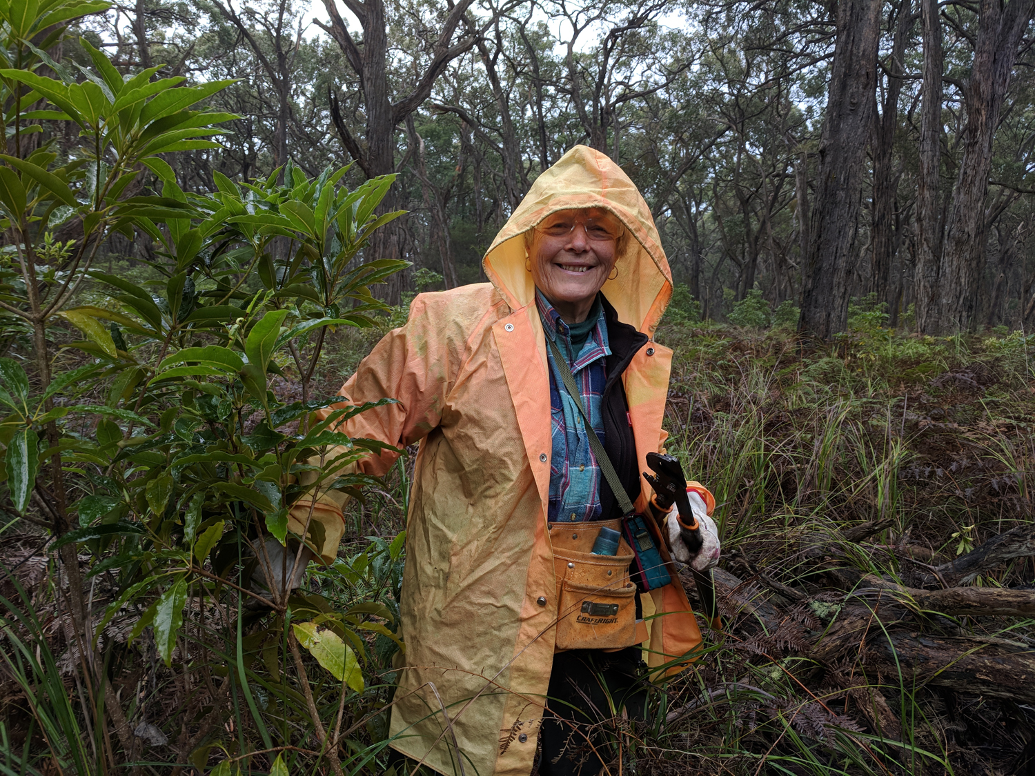 Free HTML5 Bootstrap Template